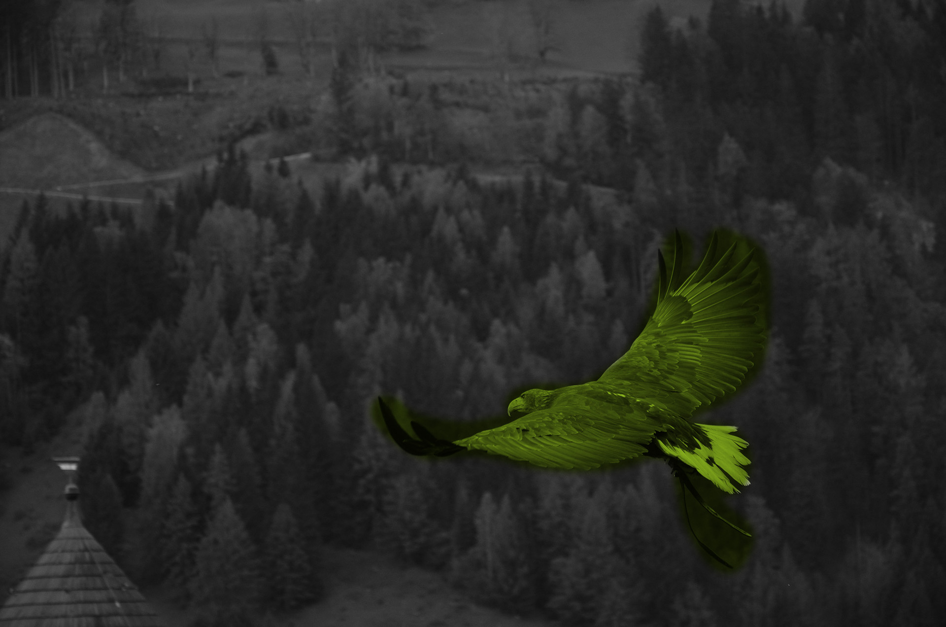 Solutions Point Of View